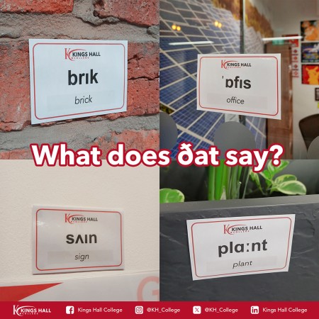 The Story of Phonetics